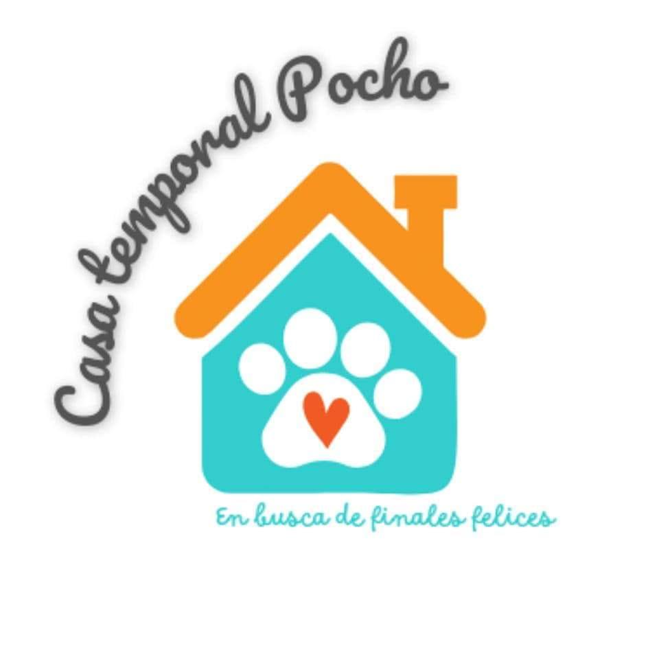 Logo Casa Temporal Pocho.